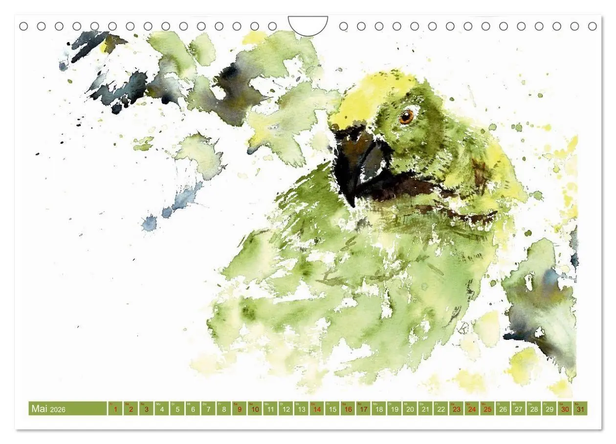 Bild: 9783516704372 | Faszination Vögel im Aquarell - Expressionistische Kunst von Doris...