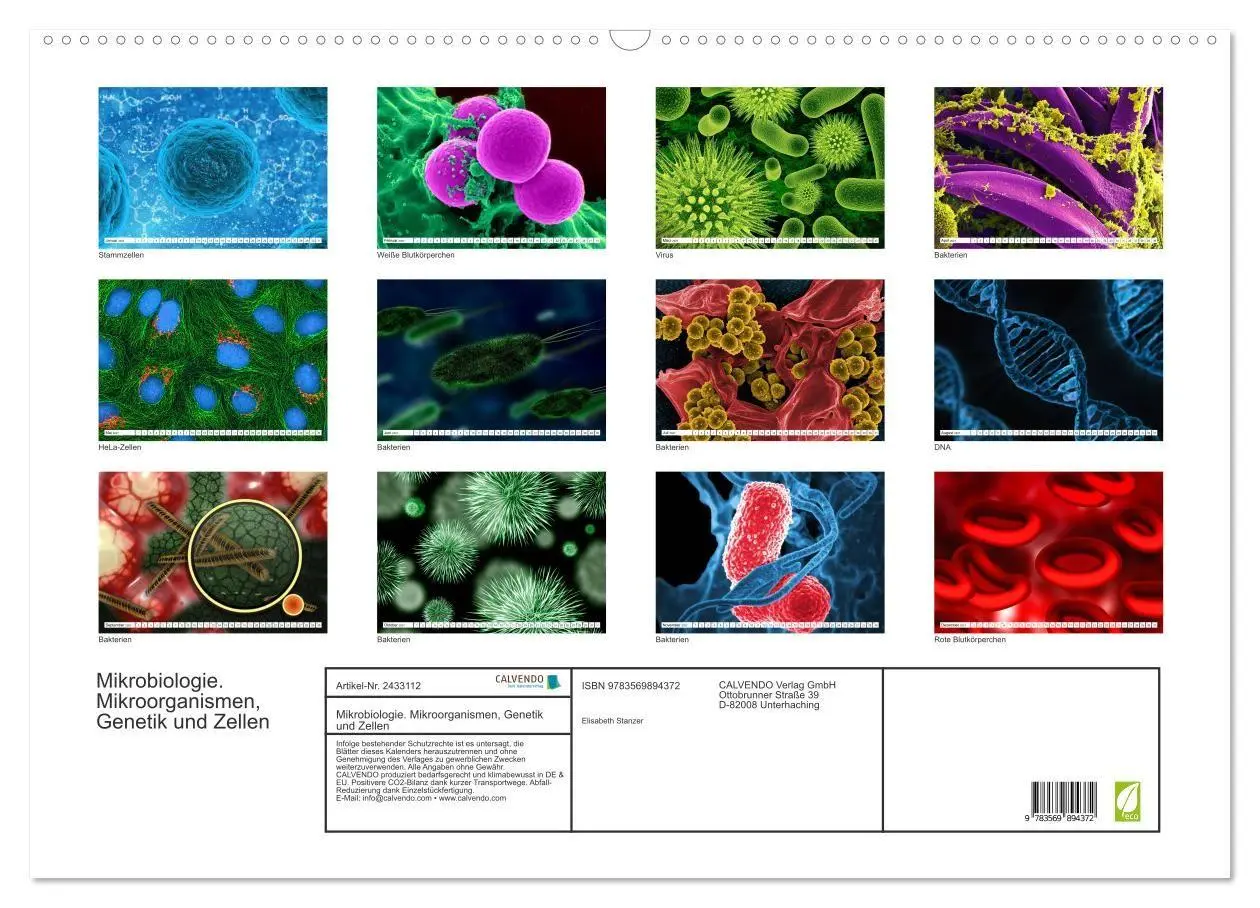 Bild: 9783569894372 | Mikrobiologie. Mikroorganismen, Genetik und Zellen (Wandkalender...