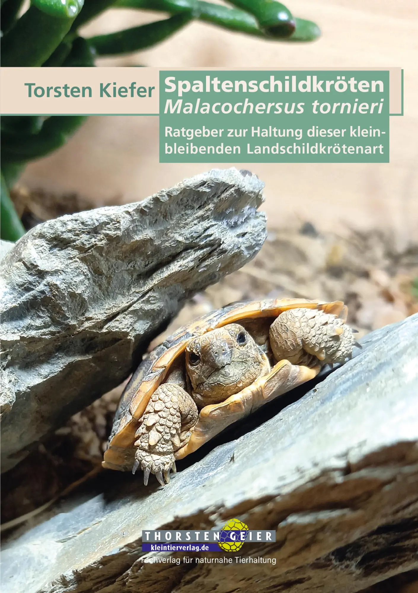Cover: 9783944484372 | Spaltenschildkröten Malacochersus tornieri | Torsten Kiefer | Buch