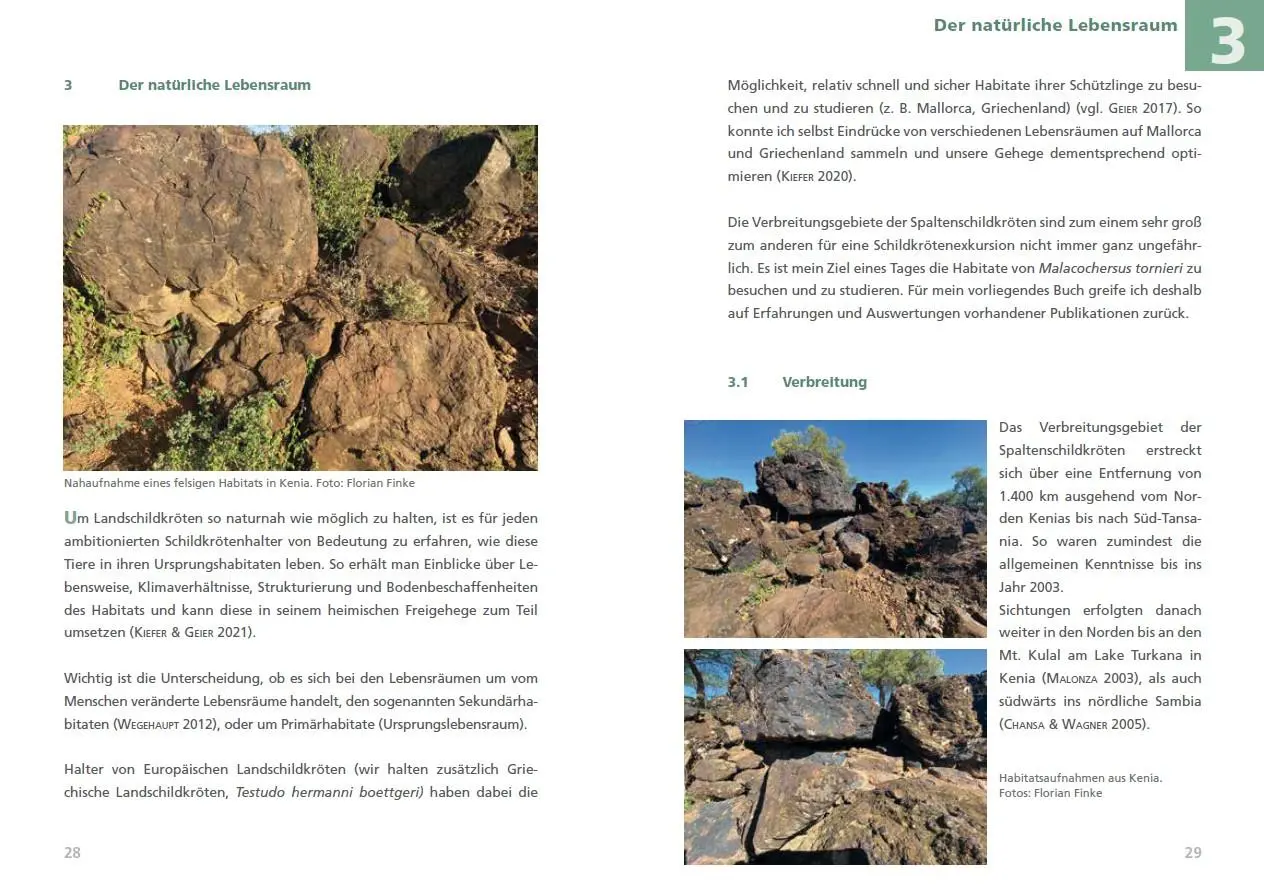 Bild: 9783944484372 | Spaltenschildkröten Malacochersus tornieri | Torsten Kiefer | Buch