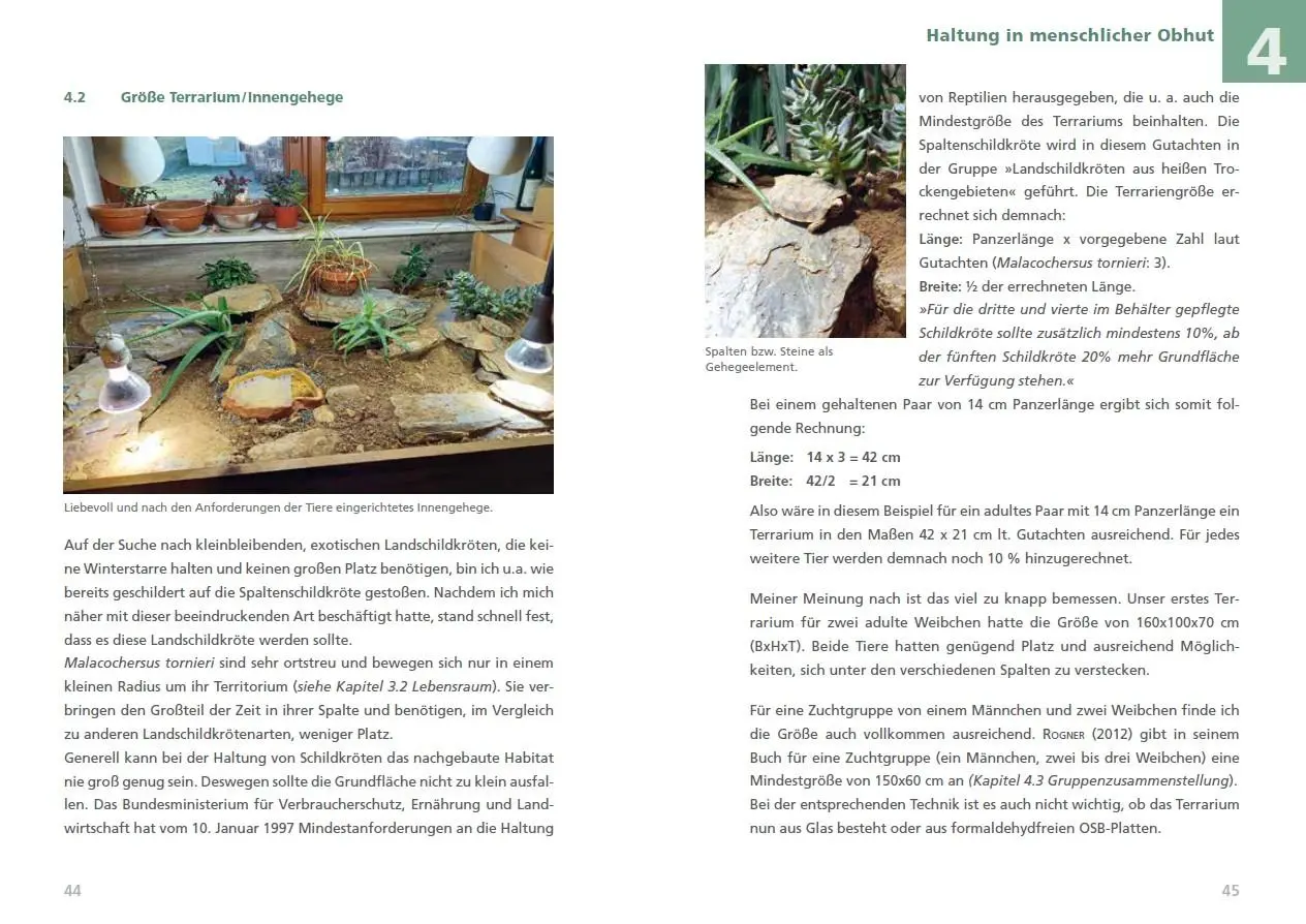 Bild: 9783944484372 | Spaltenschildkröten Malacochersus tornieri | Torsten Kiefer | Buch