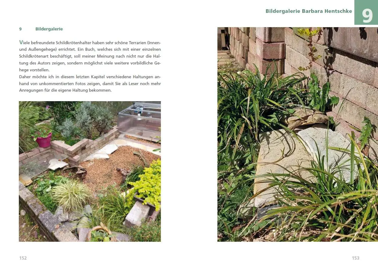 Bild: 9783944484372 | Spaltenschildkröten Malacochersus tornieri | Torsten Kiefer | Buch
