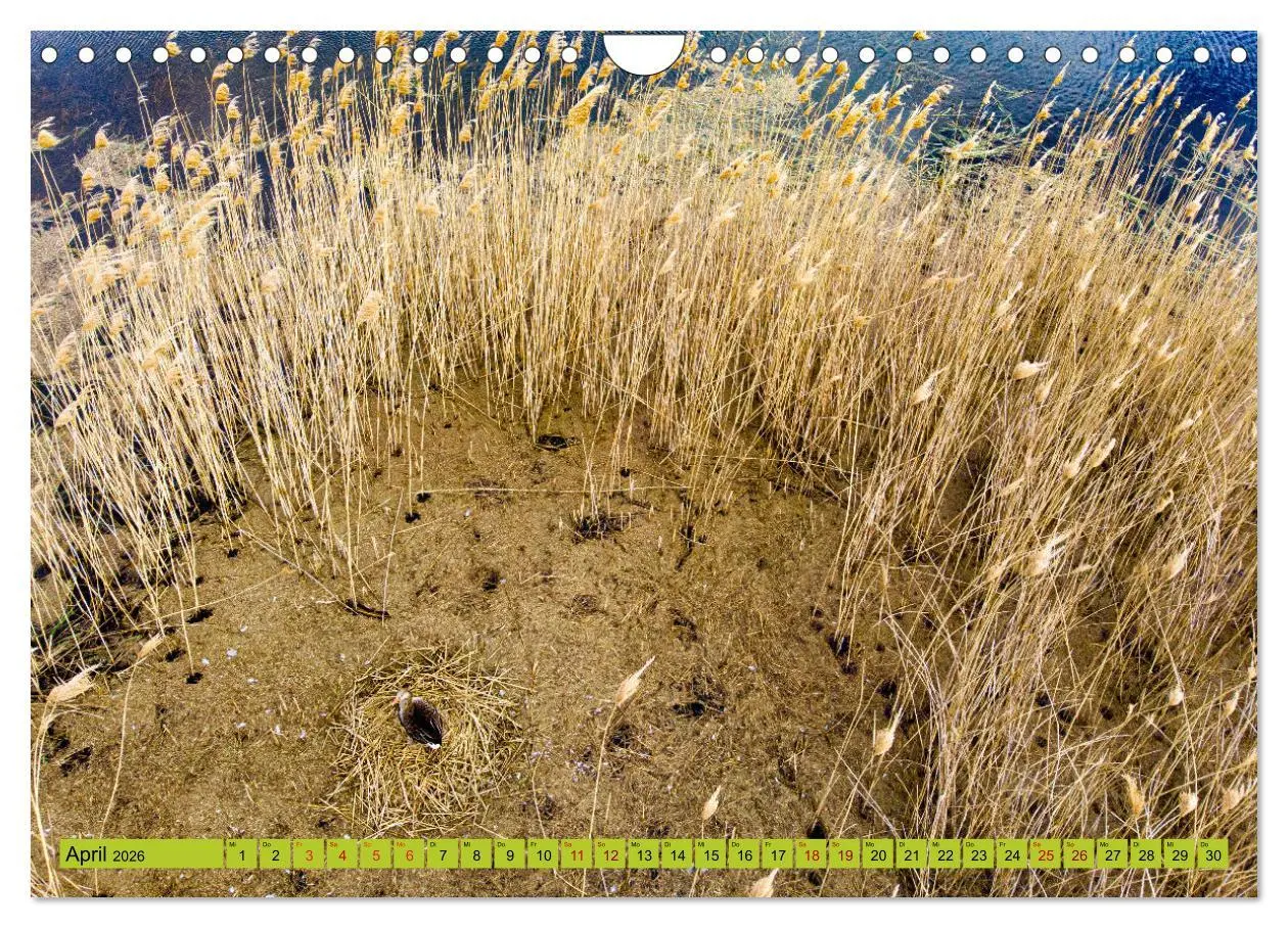 Bild: 9783457844472 | Schorfheide von oben (Wandkalender 2026 DIN A4 quer), CALVENDO...