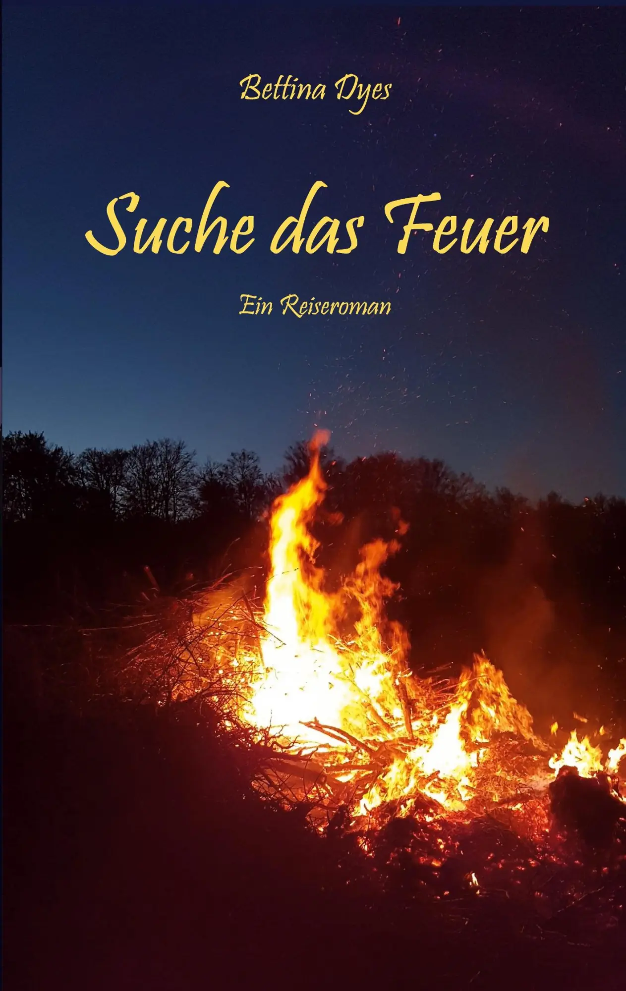 Cover: 9783695134472 | Suche das Feuer | Bettina Dyes | Taschenbuch | 164 S. | Deutsch | 2025