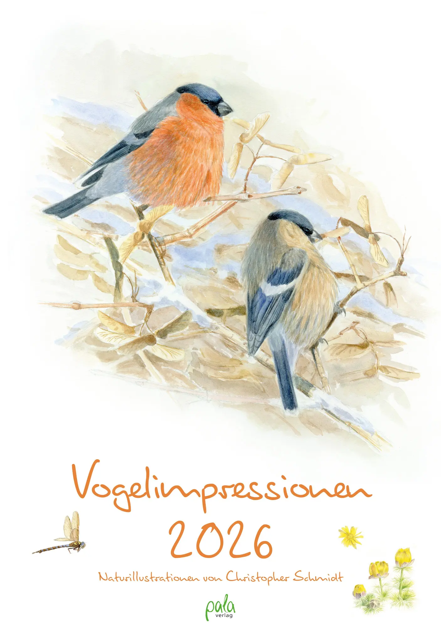 Cover: 9783895664472 | Vogelimpressionen 2026 | Naturillustrationen von Christopher Schmidt