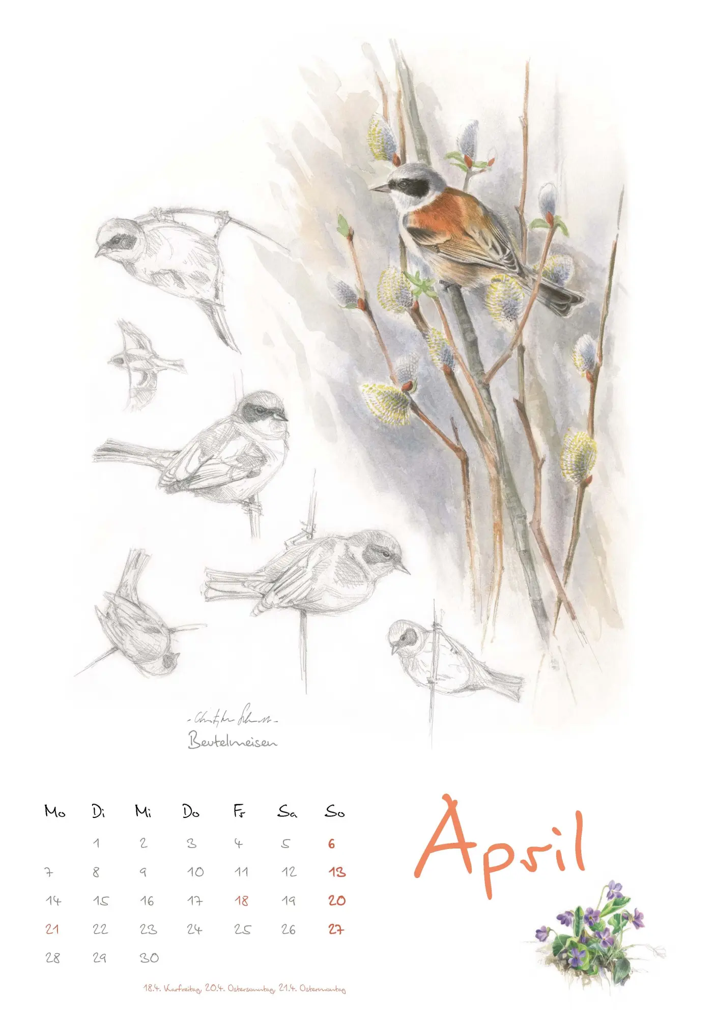 Bild: 9783895664472 | Vogelimpressionen 2026 | Naturillustrationen von Christopher Schmidt