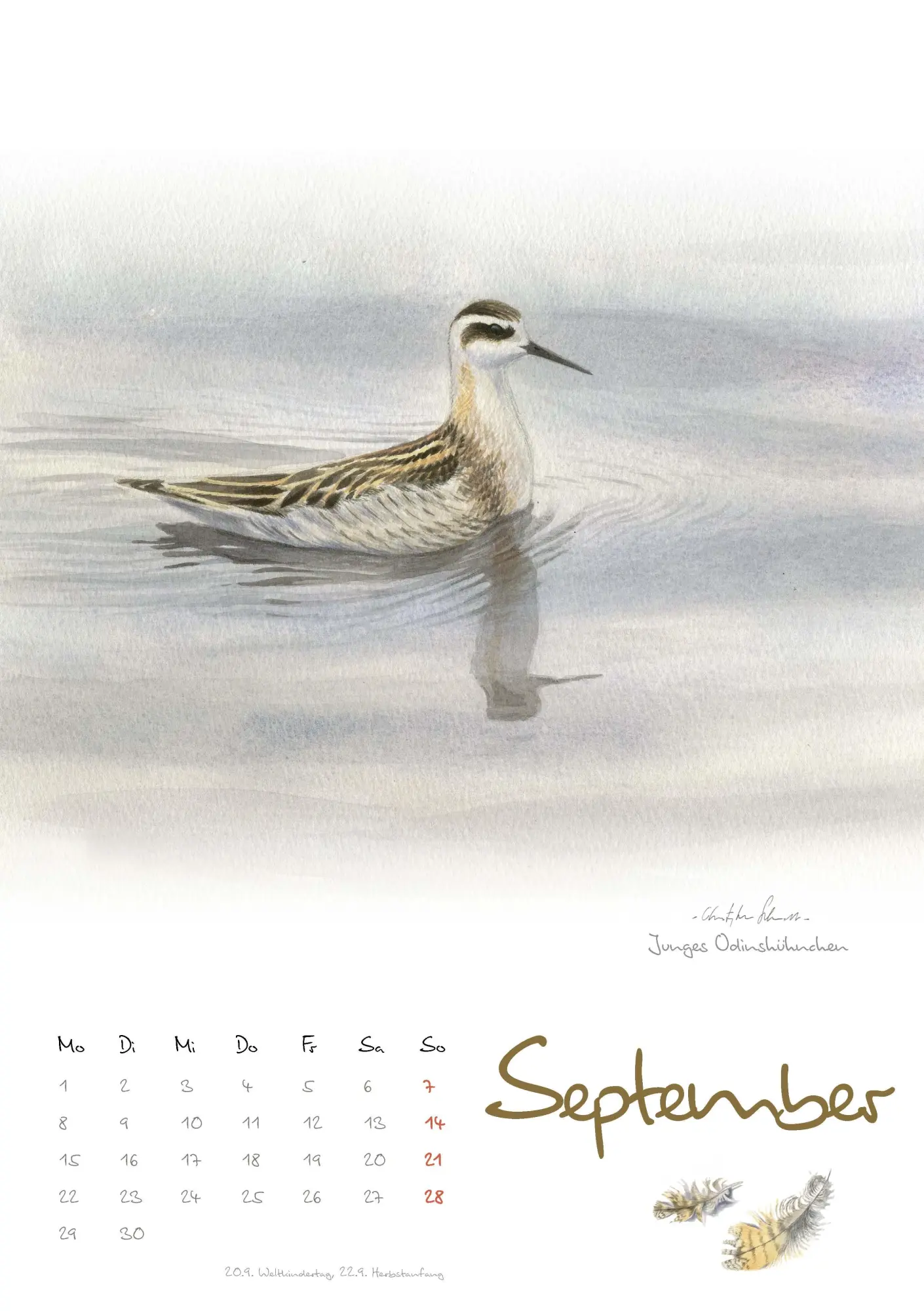 Bild: 9783895664472 | Vogelimpressionen 2026 | Naturillustrationen von Christopher Schmidt