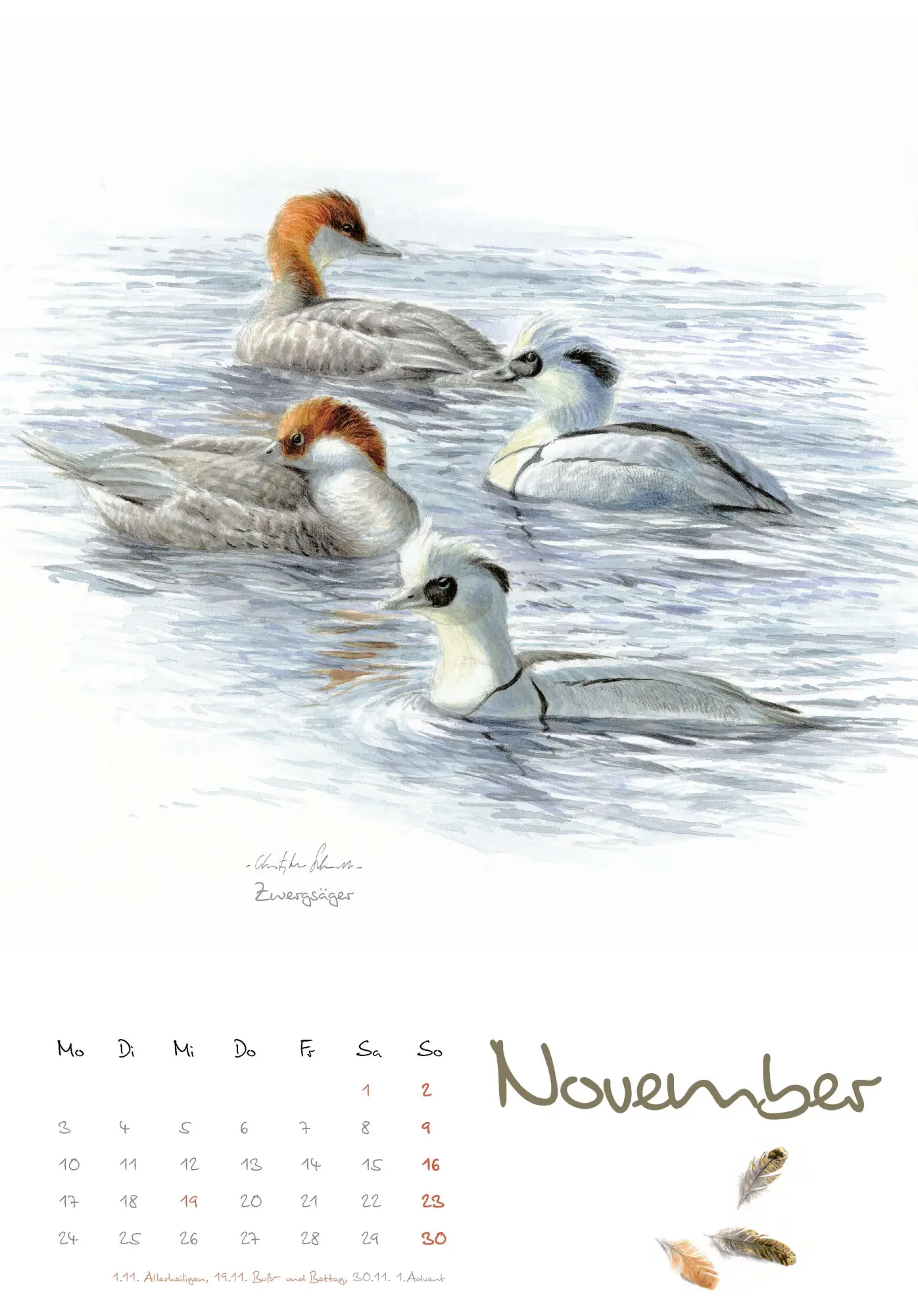 Bild: 9783895664472 | Vogelimpressionen 2026 | Naturillustrationen von Christopher Schmidt