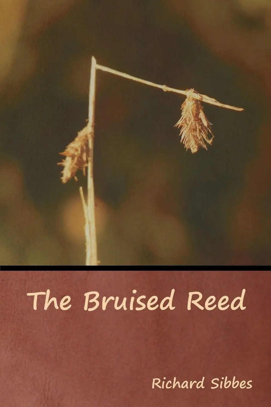 Cover: 9781618954572 | The Bruised Reed | Richard Sibbes | Taschenbuch | Englisch | 2019