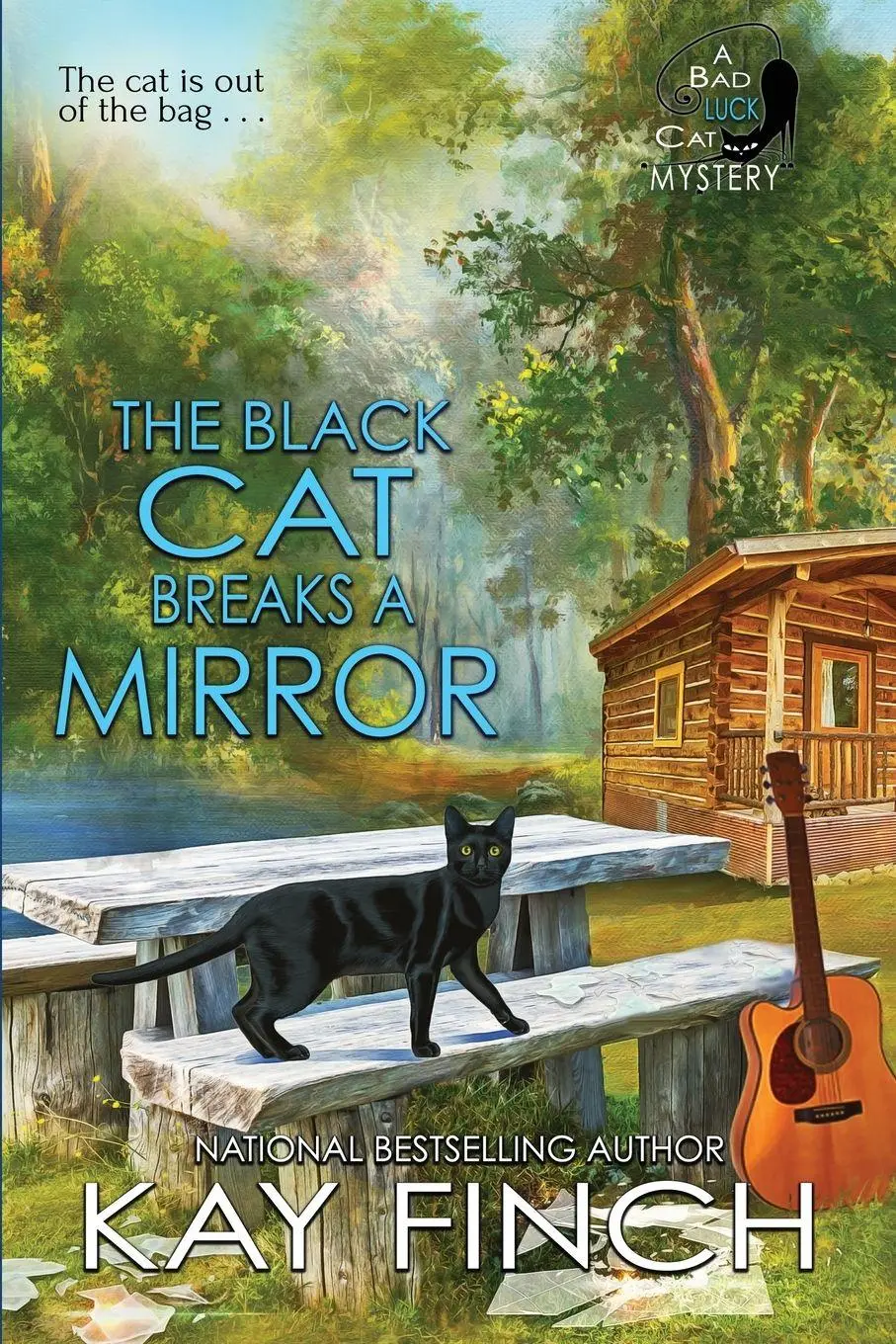 Cover: 9781958384572 | The Black Cat Breaks a Mirror | Kay Finch | Taschenbuch | Englisch