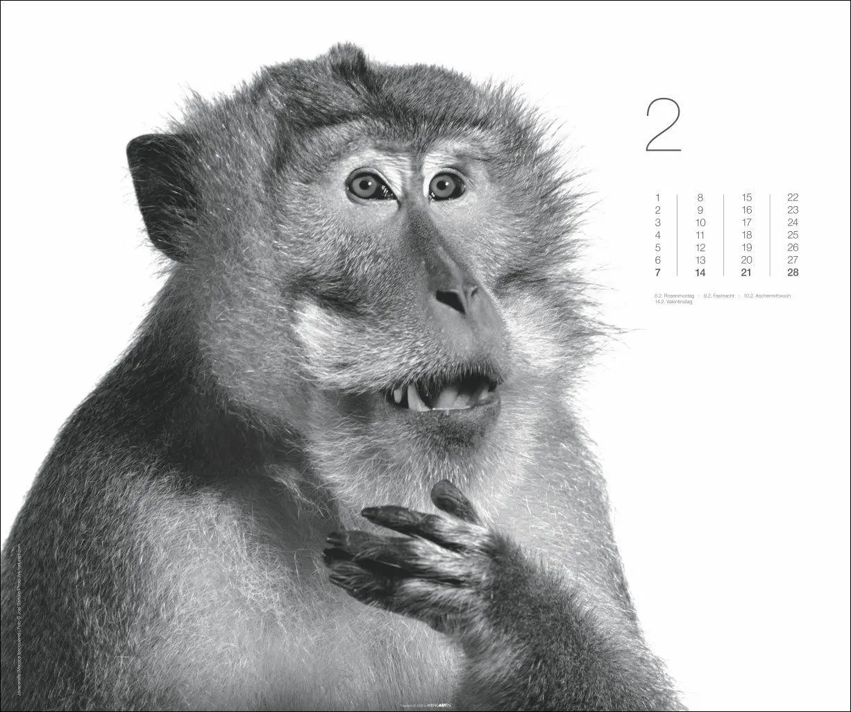 Bild: 9783839904572 | Black &amp; White Animals 2027 | Kalender | Spiralbindung | 14 S. | 2027