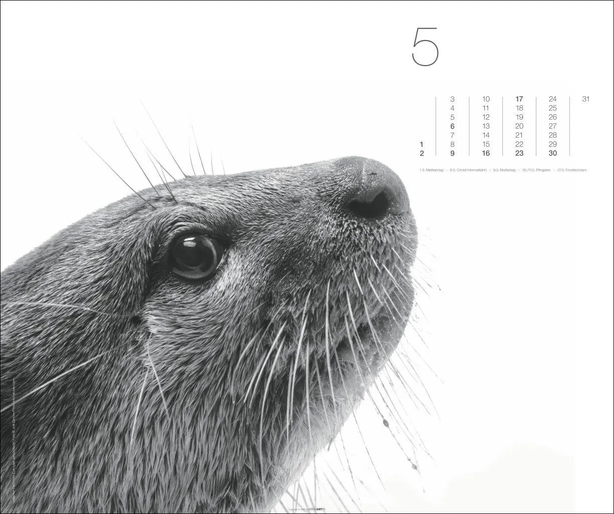 Bild: 9783839904572 | Black &amp; White Animals 2027 | Kalender | Spiralbindung | 14 S. | 2027