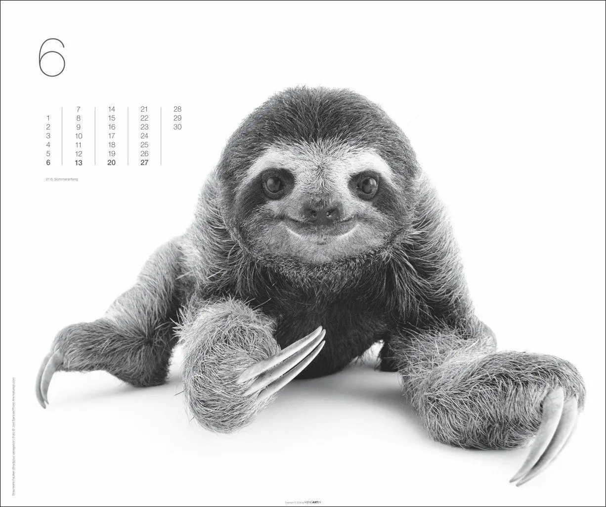 Bild: 9783839904572 | Black &amp; White Animals 2027 | Kalender | Spiralbindung | 14 S. | 2027