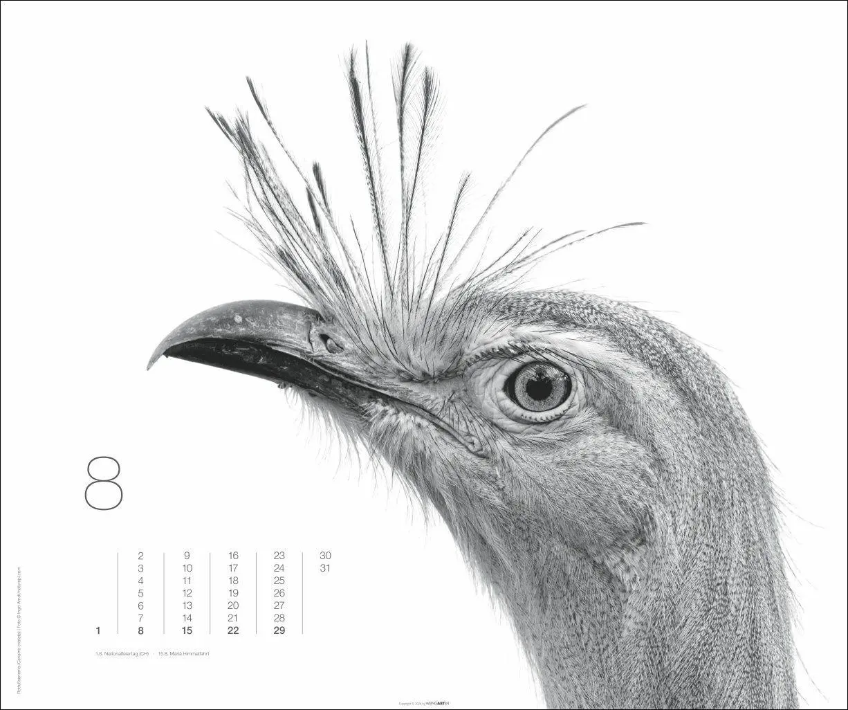 Bild: 9783839904572 | Black &amp; White Animals 2027 | Kalender | Spiralbindung | 14 S. | 2027