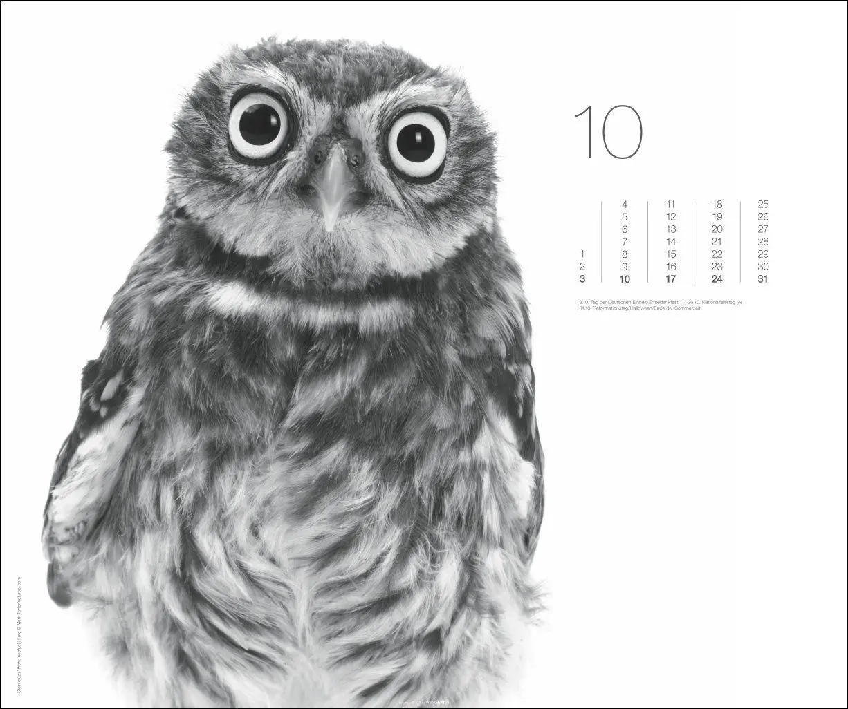 Bild: 9783839904572 | Black &amp; White Animals 2027 | Kalender | Spiralbindung | 14 S. | 2027