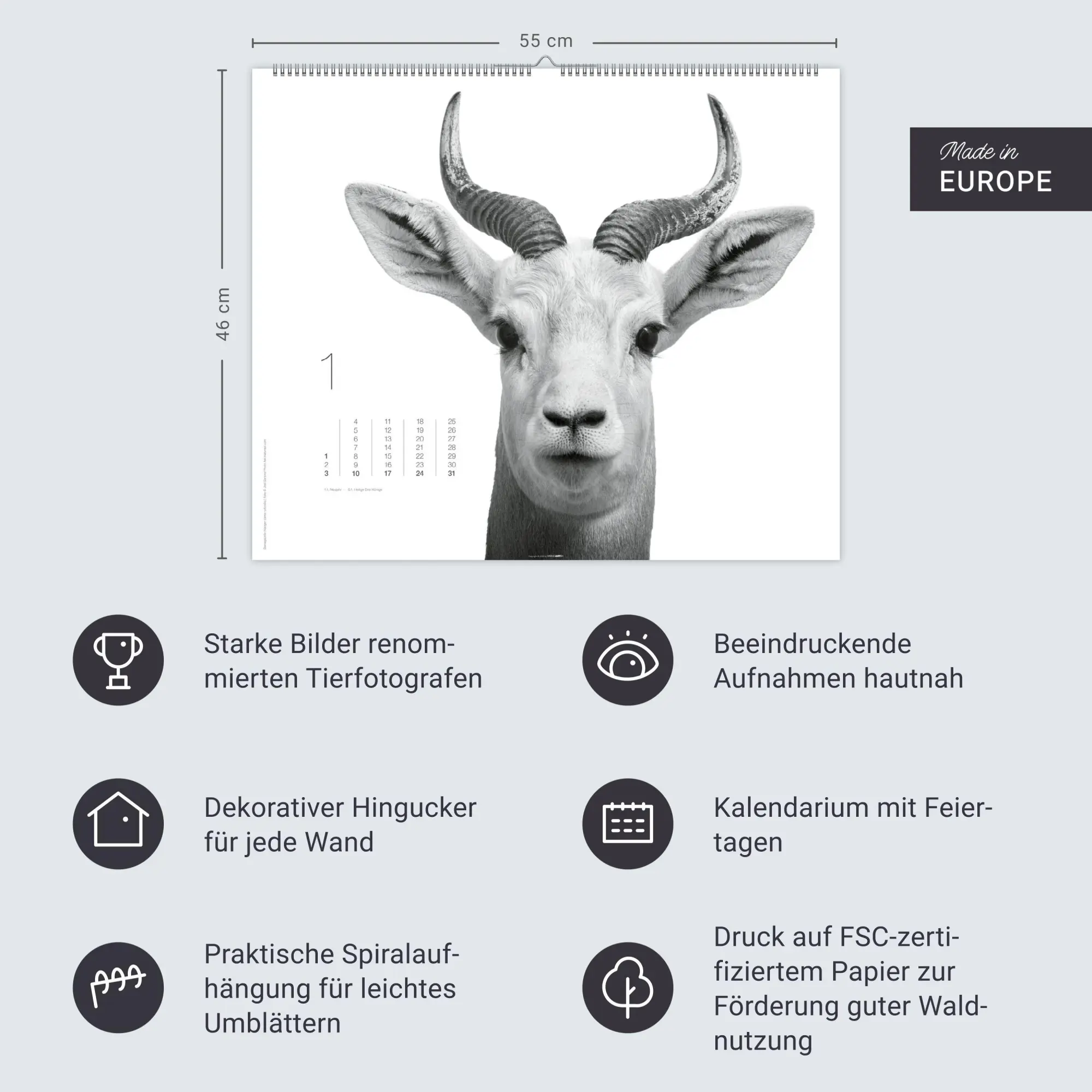 Bild: 9783839904572 | Black &amp; White Animals 2027 | Kalender | Spiralbindung | 14 S. | 2027