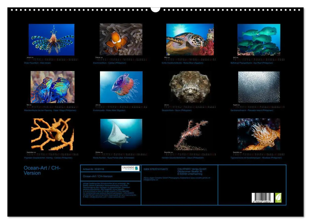 Bild: 9783516154672 | Ocean-Art / CH-Version (Wandkalender 2026 DIN A2 quer), CALVENDO...