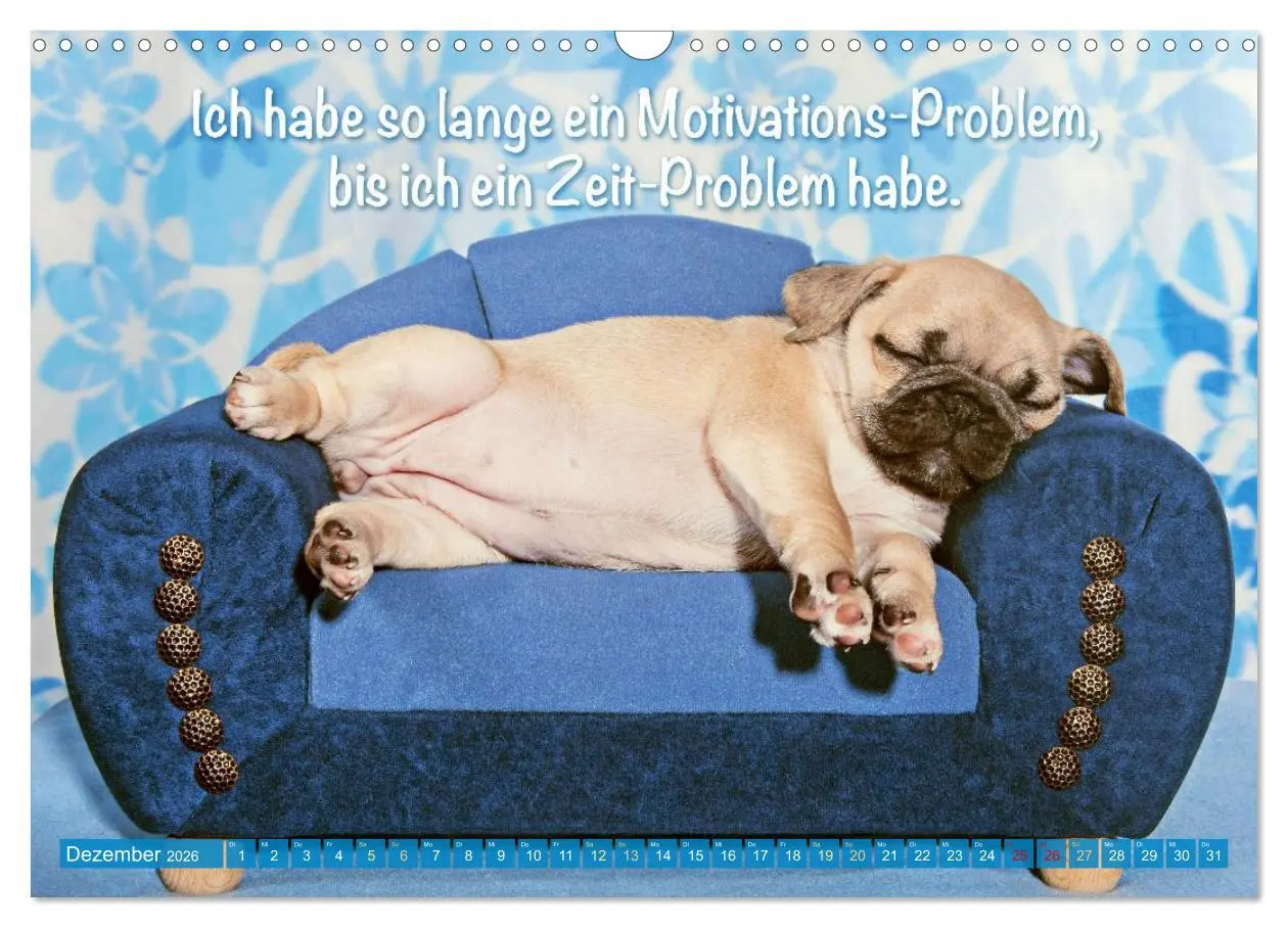Bild: 9783516604672 | Mopsala: Vom Glück, ein Mops zu sein (Wandkalender 2026 DIN A3...
