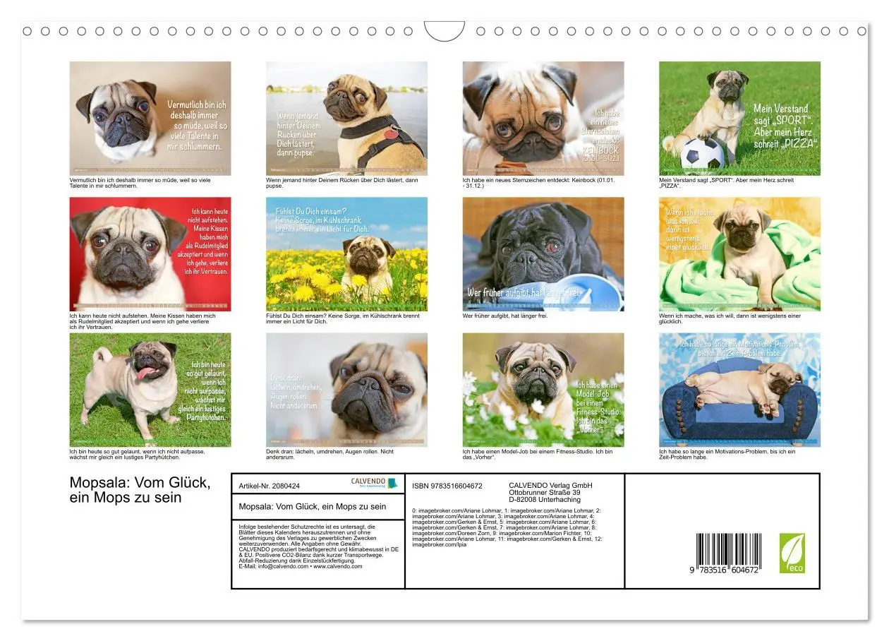 Bild: 9783516604672 | Mopsala: Vom Glück, ein Mops zu sein (Wandkalender 2026 DIN A3...