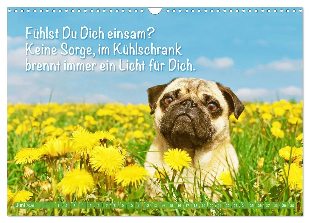 Bild: 9783516604672 | Mopsala: Vom Glück, ein Mops zu sein (Wandkalender 2026 DIN A3...