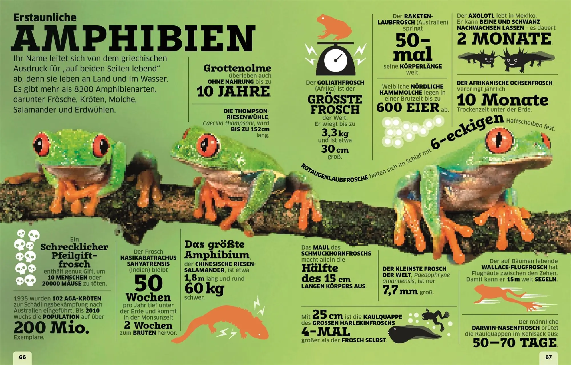 Bild: 9783831044672 | Unsere Welt in Zahlen | Clive Gifford | Buch | Unsere Welt in Zahlen