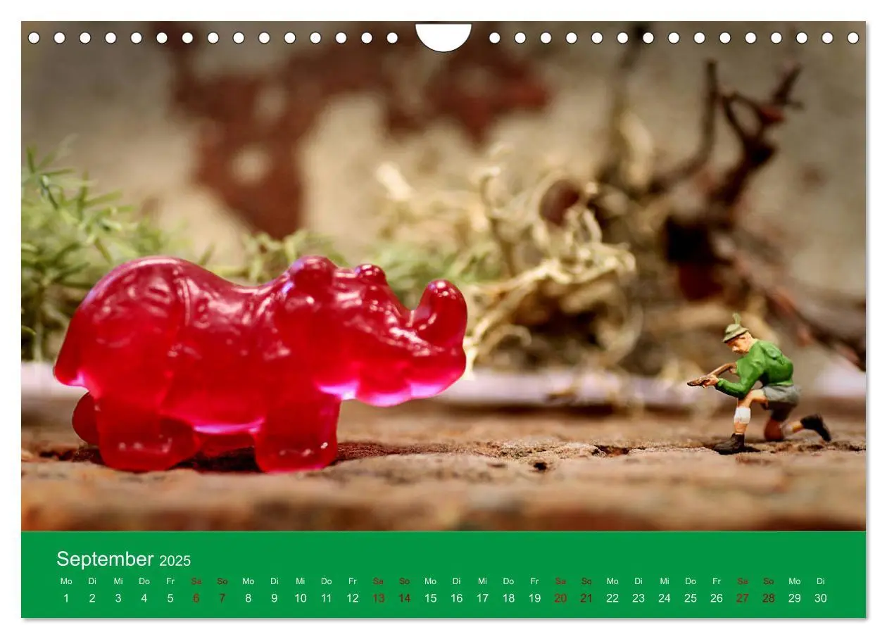 Bild: 9783435344772 | Miniaturen - Klein ganz groß (Wandkalender 2025 DIN A4 quer),...