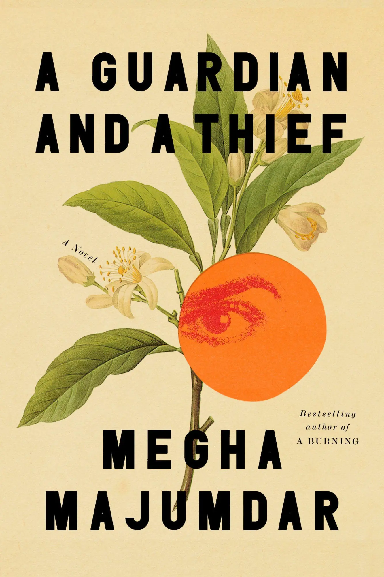 Cover: 9780593804872 | A Guardian and a Thief | A Novel | Megha Majumdar | Buch | Englisch