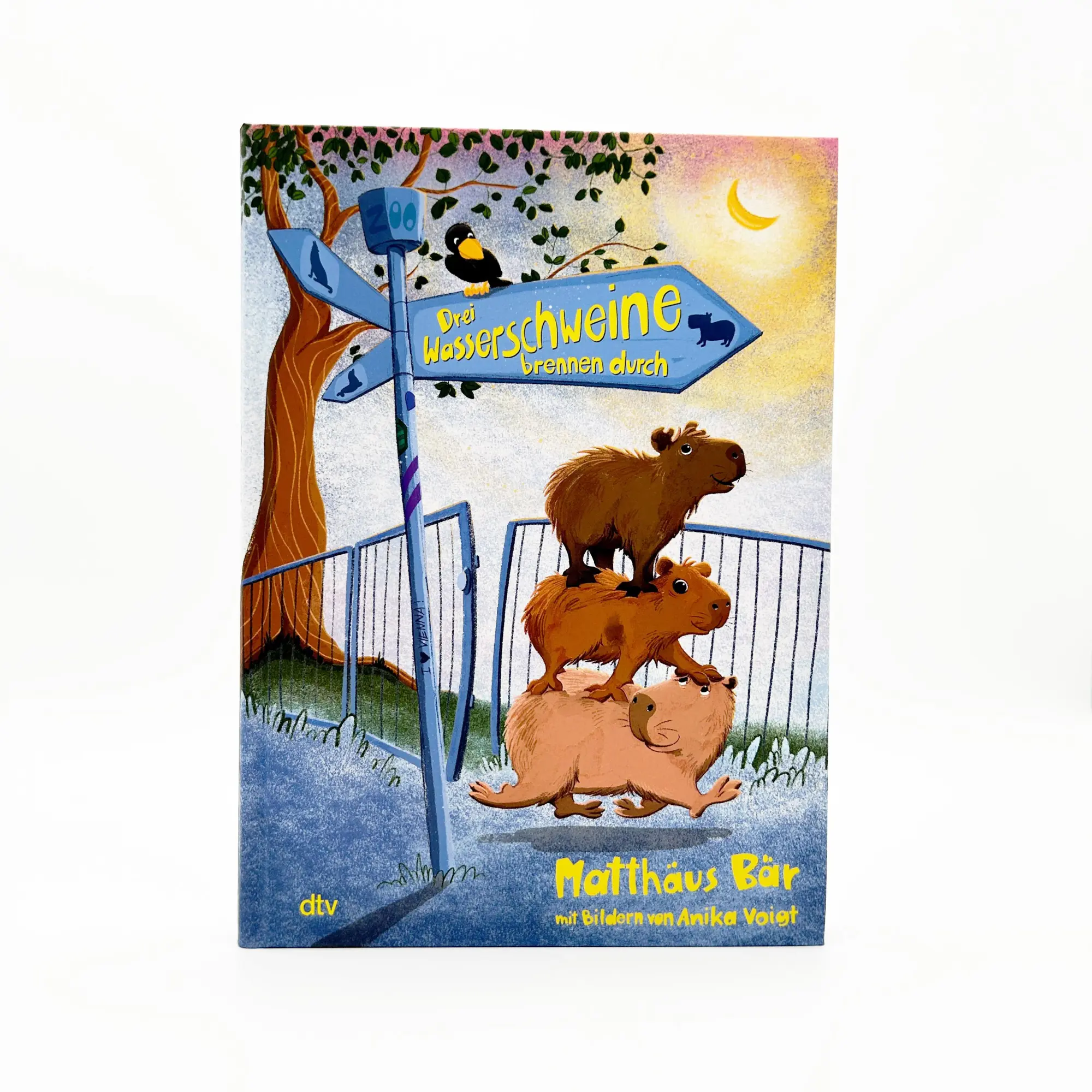 Bild: 9783423764872 | Drei Wasserschweine brennen durch | Matthäus Bär | Buch | 144 S.