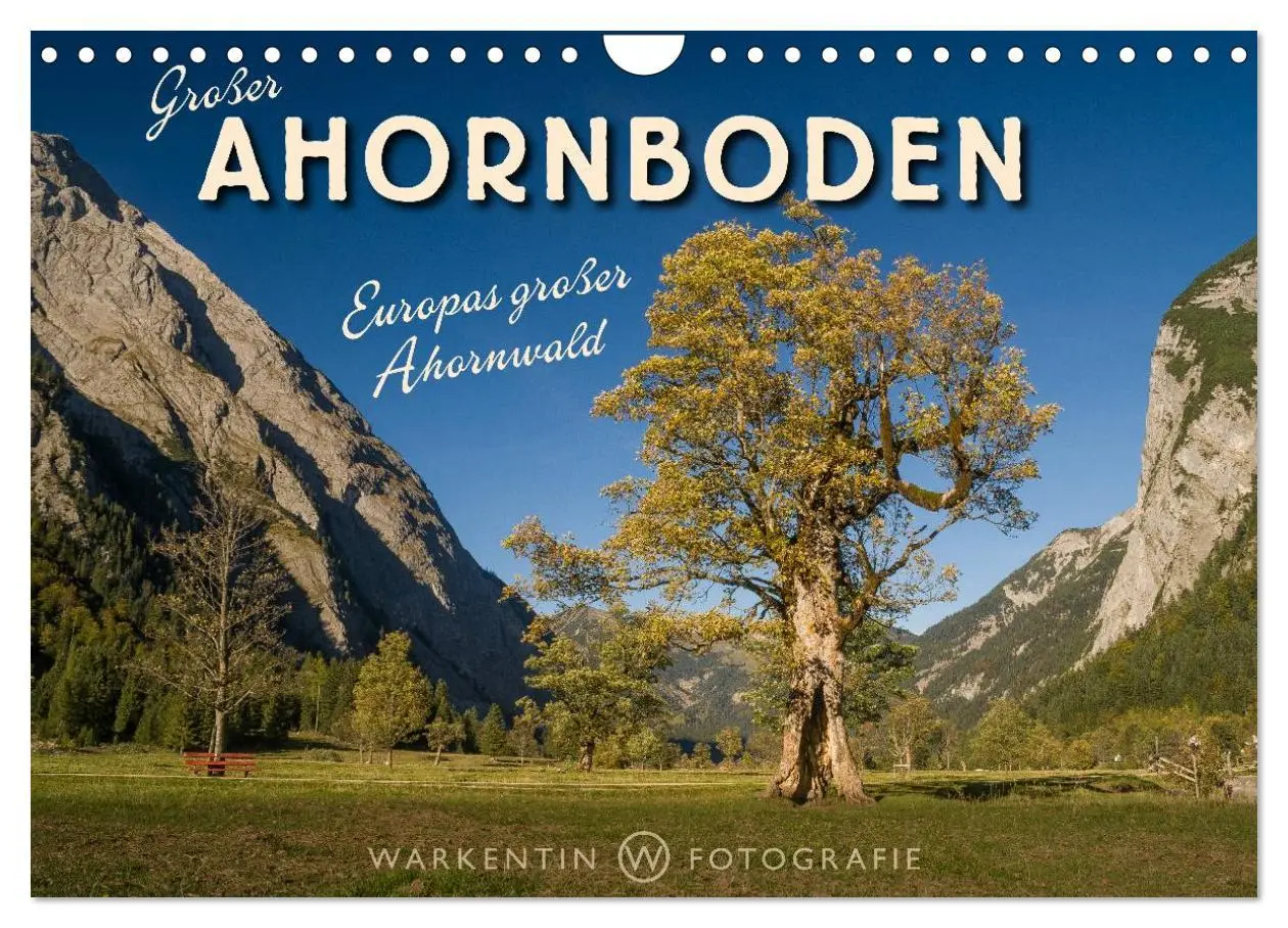 Cover: 9783516064872 | Großer Ahornboden - Europas großer Ahornwald (Wandkalender 2026 DIN...