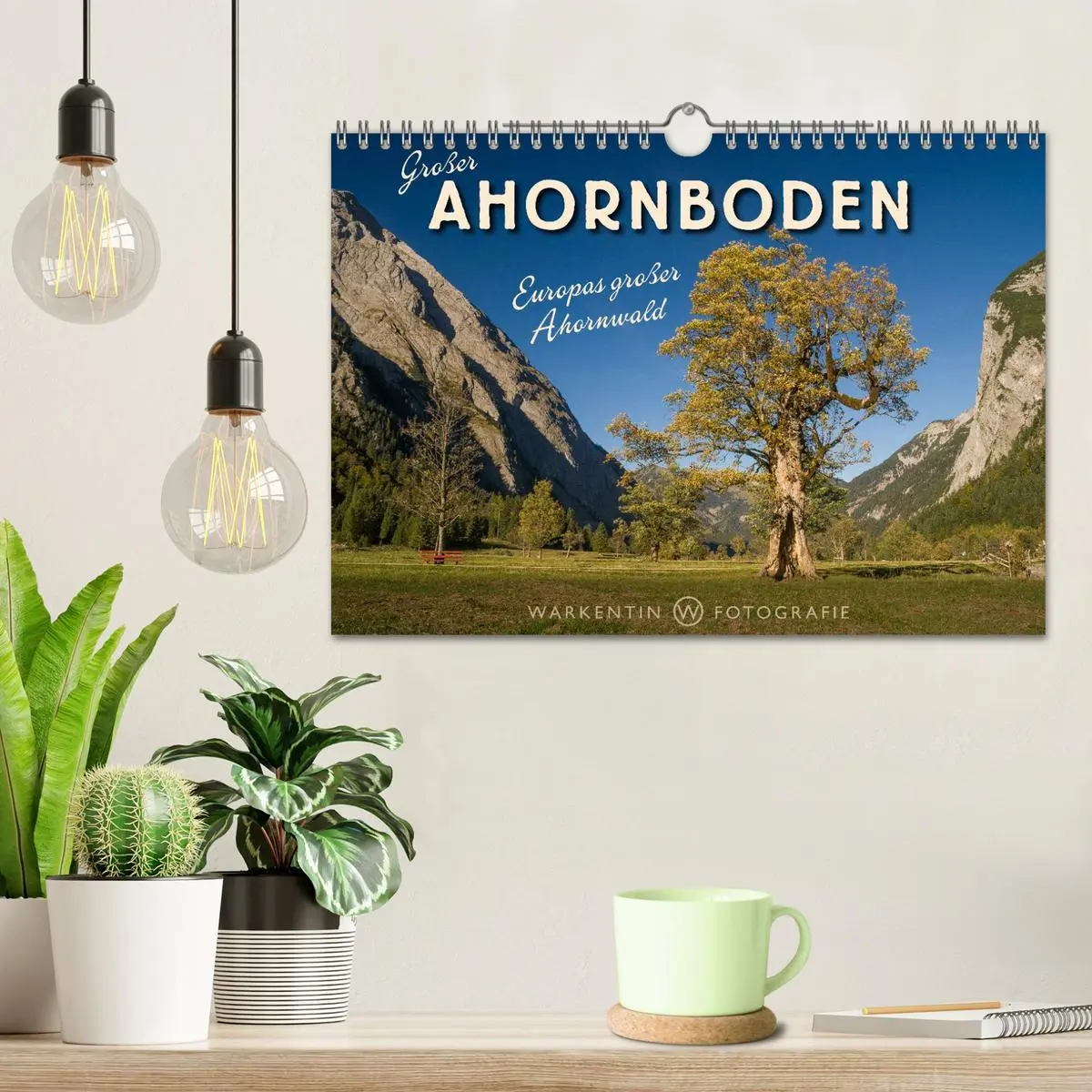Bild: 9783516064872 | Großer Ahornboden - Europas großer Ahornwald (Wandkalender 2026 DIN...