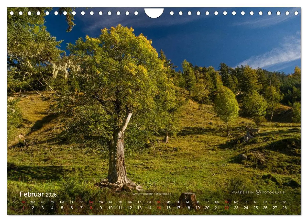 Bild: 9783516064872 | Großer Ahornboden - Europas großer Ahornwald (Wandkalender 2026 DIN...