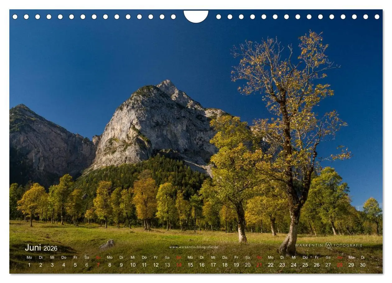 Bild: 9783516064872 | Großer Ahornboden - Europas großer Ahornwald (Wandkalender 2026 DIN...