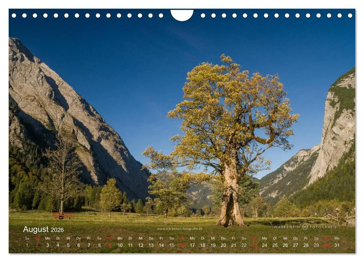 Bild: 9783516064872 | Großer Ahornboden - Europas großer Ahornwald (Wandkalender 2026 DIN...