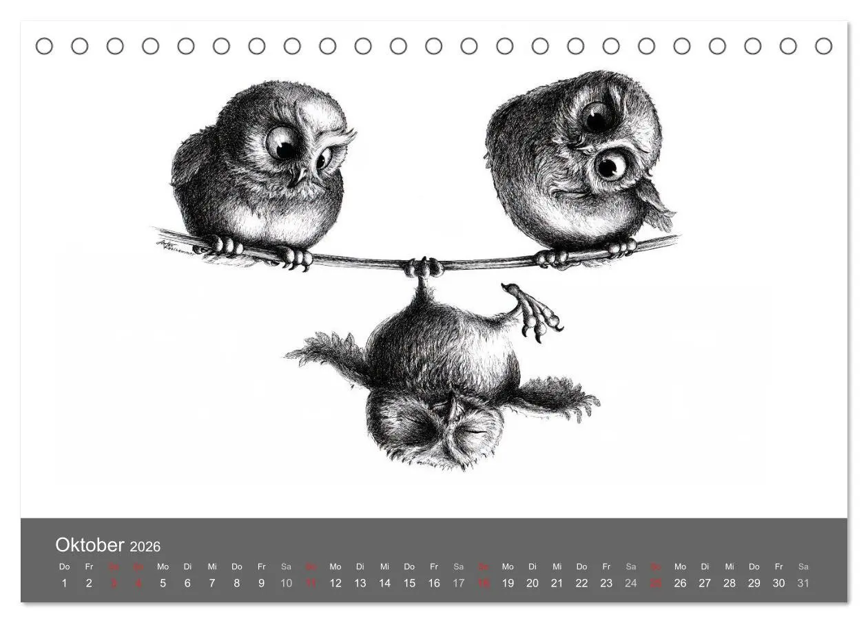 Bild: 9783516204872 | owls &amp; friends 2026 (Tischkalender 2026 DIN A5 quer), CALVENDO...