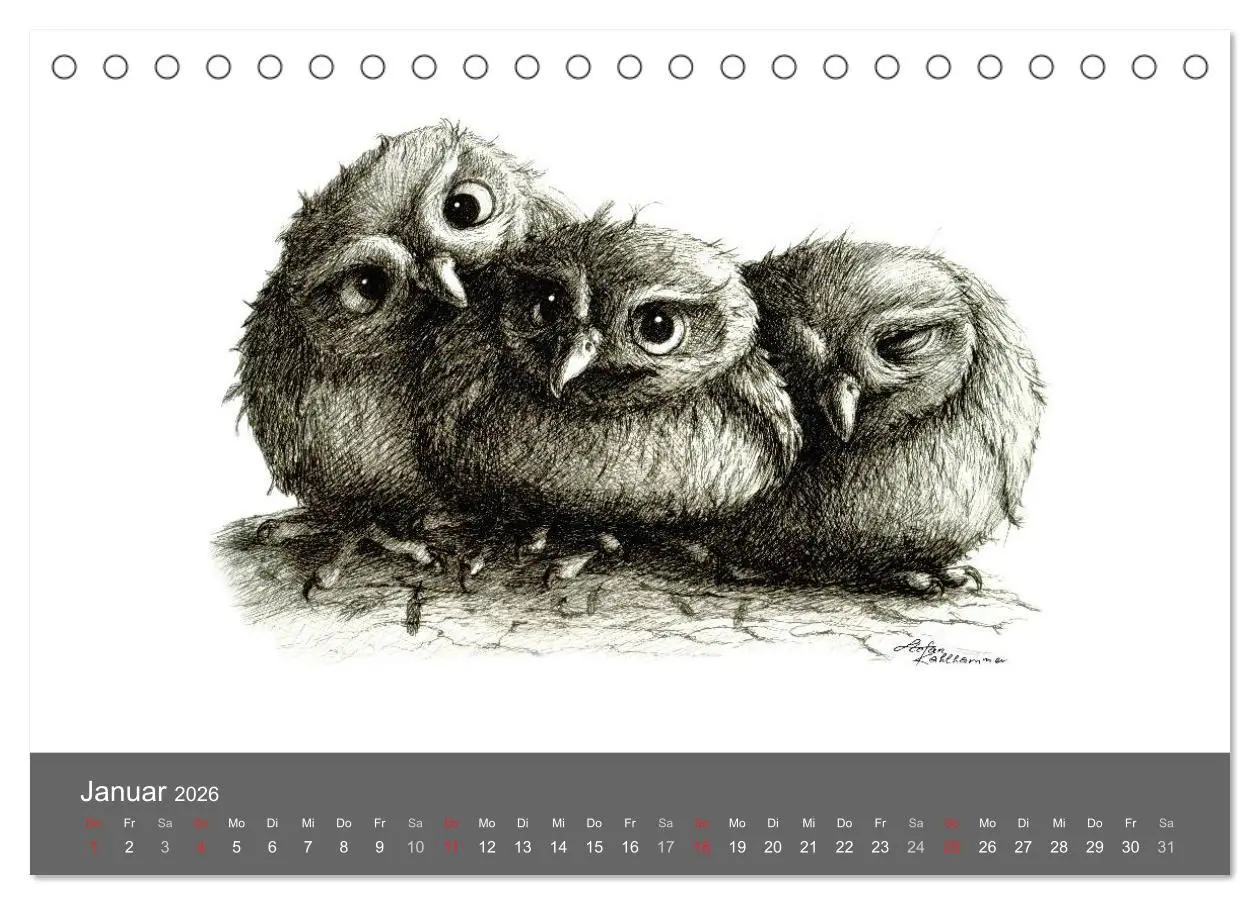 Bild: 9783516204872 | owls &amp; friends 2026 (Tischkalender 2026 DIN A5 quer), CALVENDO...
