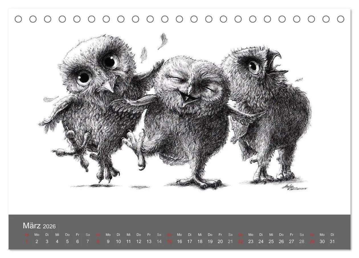 Bild: 9783516204872 | owls &amp; friends 2026 (Tischkalender 2026 DIN A5 quer), CALVENDO...