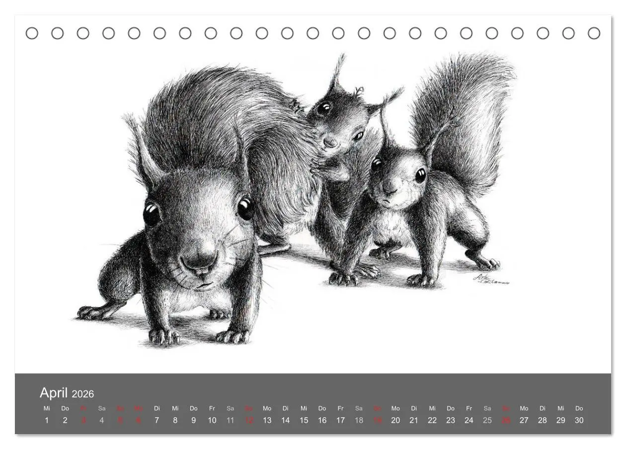 Bild: 9783516204872 | owls &amp; friends 2026 (Tischkalender 2026 DIN A5 quer), CALVENDO...