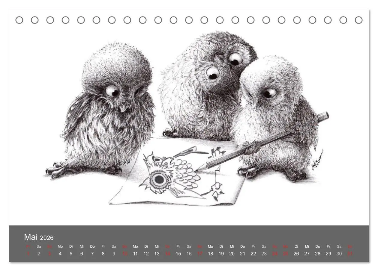 Bild: 9783516204872 | owls &amp; friends 2026 (Tischkalender 2026 DIN A5 quer), CALVENDO...