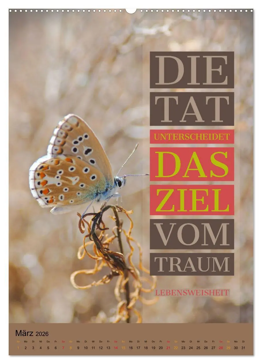 Bild: 9783516374872 | Aktiviere Deine Motivation Weisheiten und Sprüche (Wandkalender...