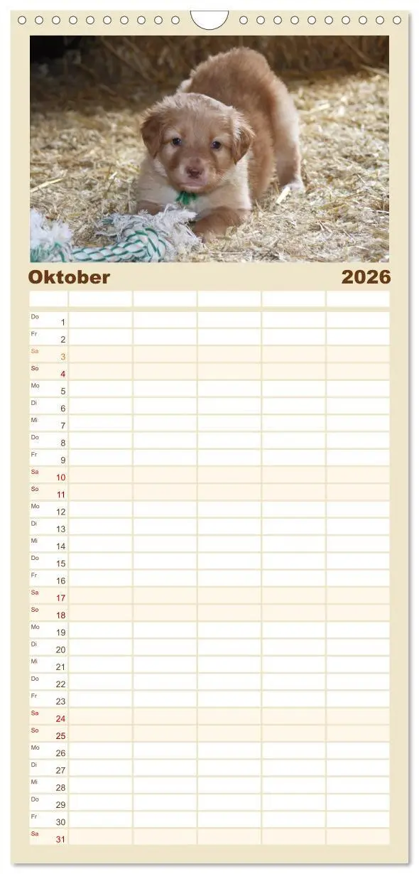 Bild: 9783516514872 | Familienplaner 2026 - Hovawarte - einmal anders mit 5 Spalten...