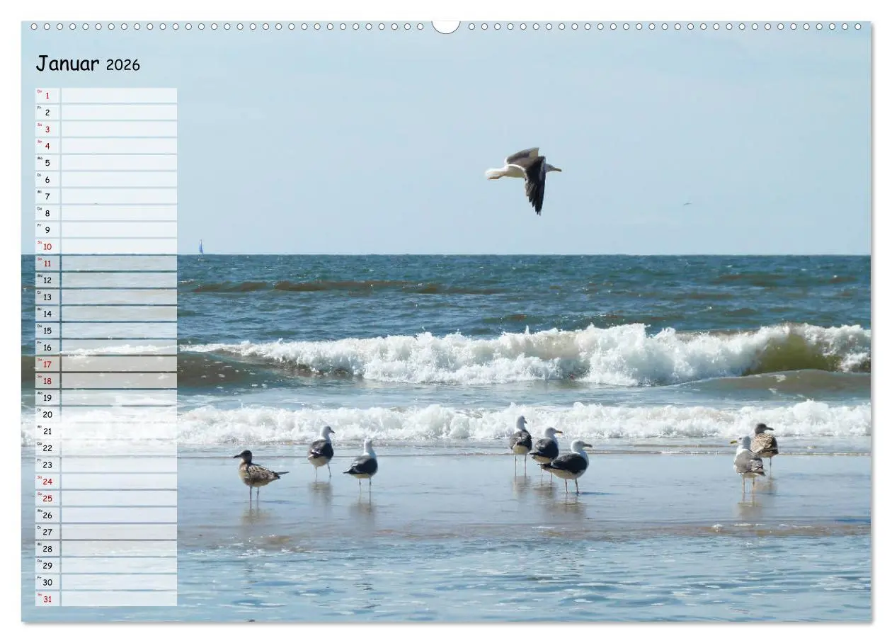 Bild: 9783457925072 | Egmond aan Zee (Wandkalender 2026 DIN A2 quer), CALVENDO...