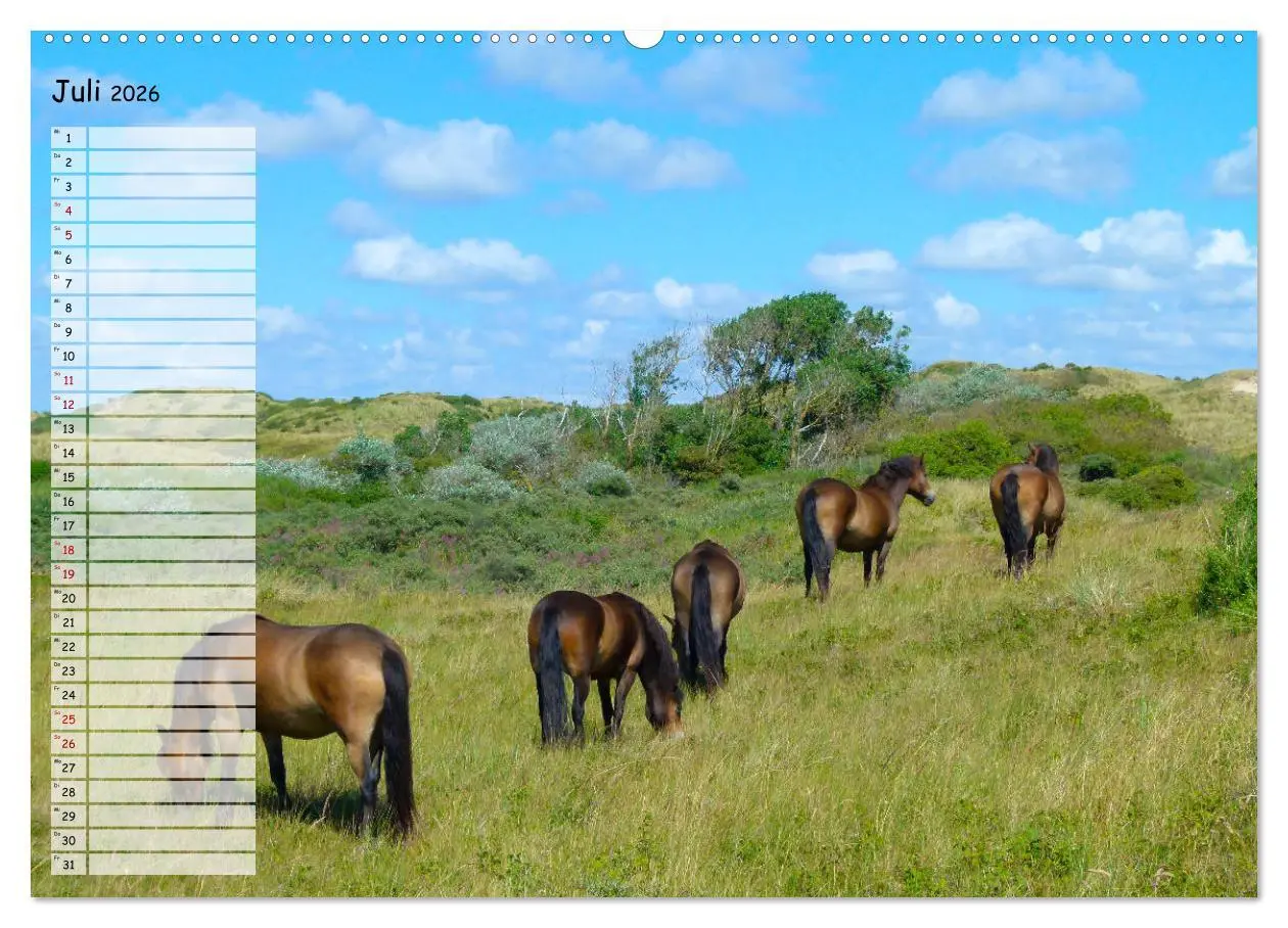 Bild: 9783457925072 | Egmond aan Zee (Wandkalender 2026 DIN A2 quer), CALVENDO...