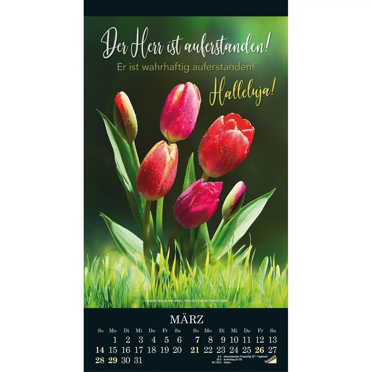 Bild: 9783754855072 | Die Wunder deiner Werke 2027 | Besinnungskalender | Kalender | 14 S.