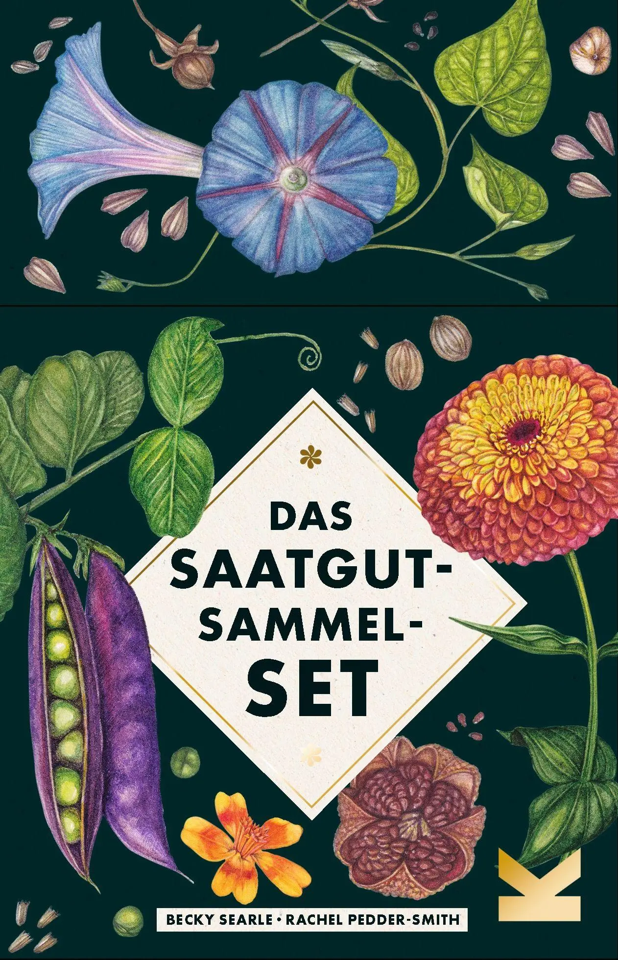 Cover: 9783962445072 | Das Saatgut-Sammelset | Becky Searle | Taschenbuch | 50 S. | Deutsch