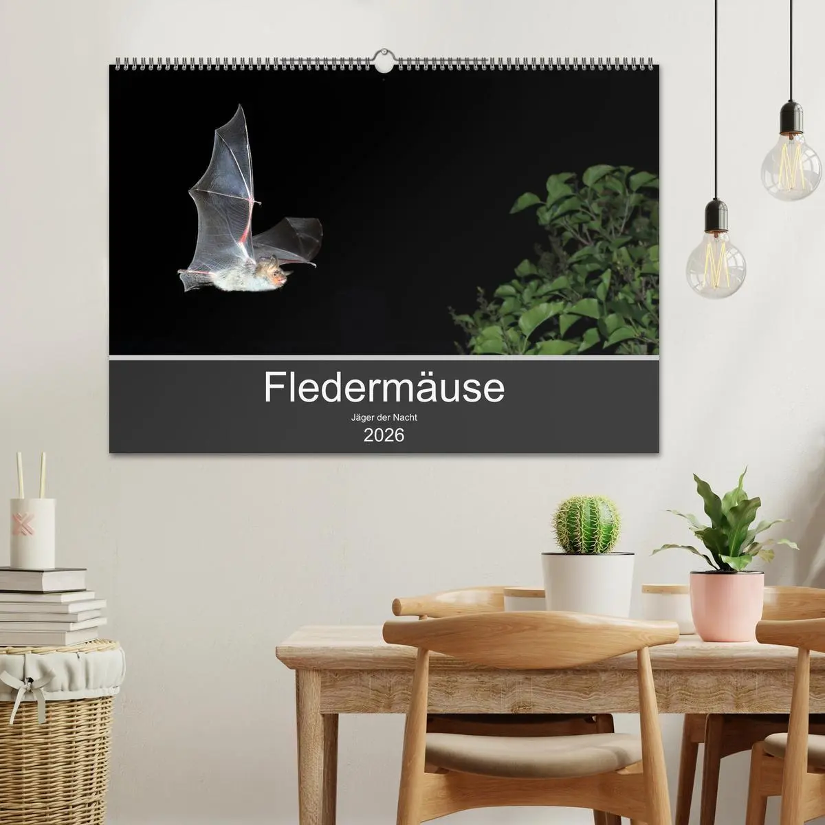 Bild: 9783457845172 | Fledermäuse - Jäger der Nacht (Wandkalender 2026 DIN A2 quer),...