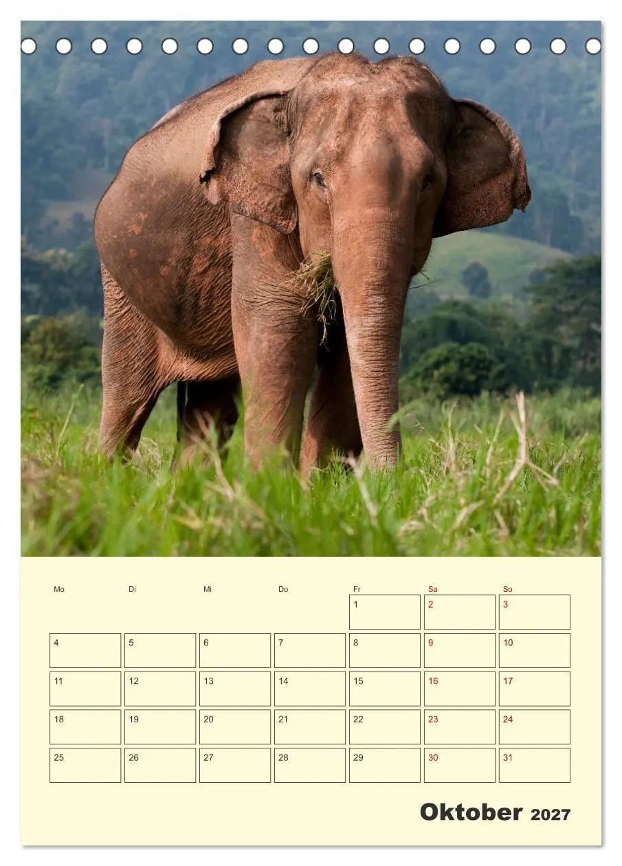 Bild: 9783569575172 | ELEFANTEN - Asiens graue Riesen (Tischkalender 2027 DIN A5 hoch),...