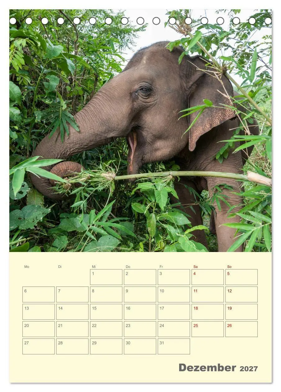 Bild: 9783569575172 | ELEFANTEN - Asiens graue Riesen (Tischkalender 2027 DIN A5 hoch),...