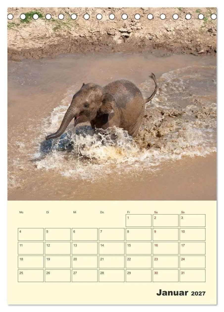 Bild: 9783569575172 | ELEFANTEN - Asiens graue Riesen (Tischkalender 2027 DIN A5 hoch),...