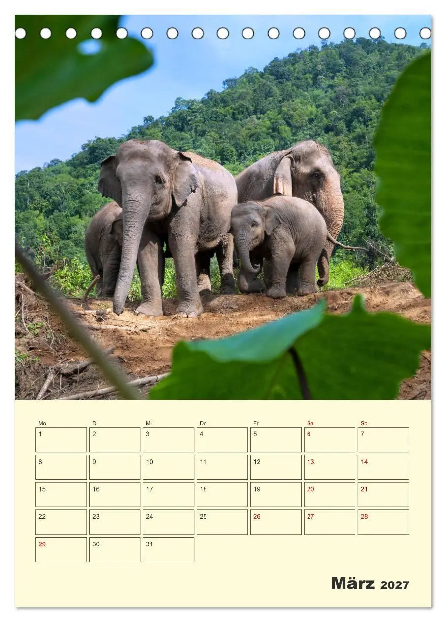 Bild: 9783569575172 | ELEFANTEN - Asiens graue Riesen (Tischkalender 2027 DIN A5 hoch),...