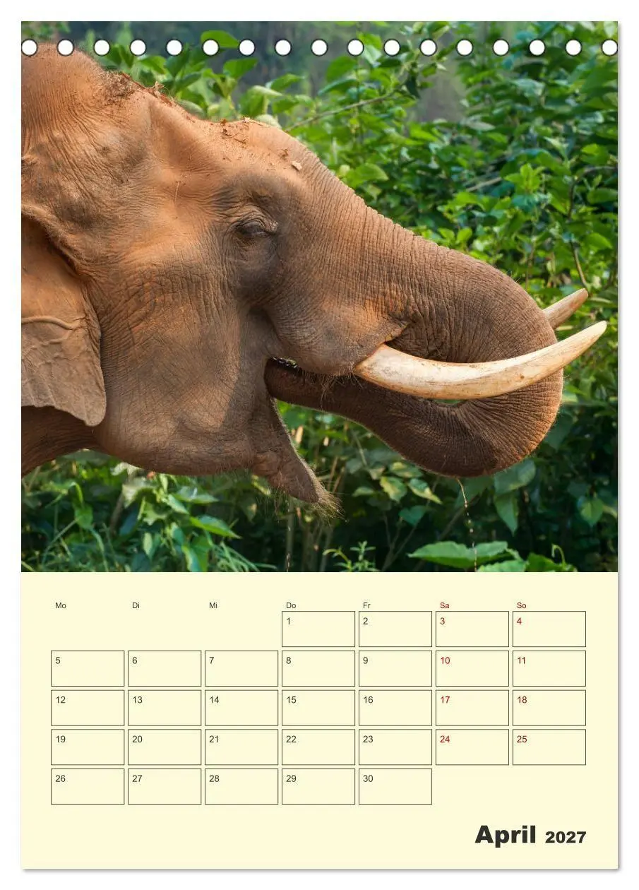 Bild: 9783569575172 | ELEFANTEN - Asiens graue Riesen (Tischkalender 2027 DIN A5 hoch),...